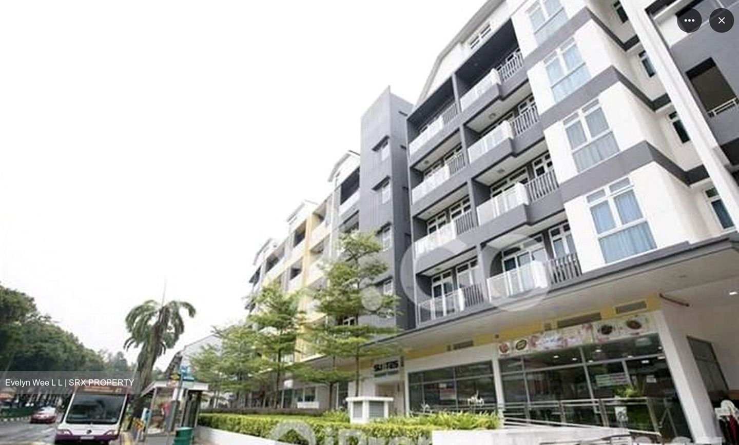 Suites @ Bukit Timah (D21), Retail #529029591